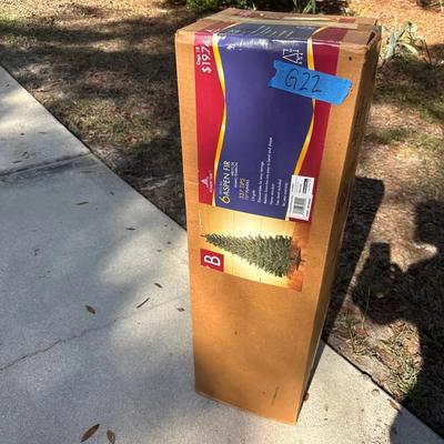 6 foot Aspen for Christmas tree