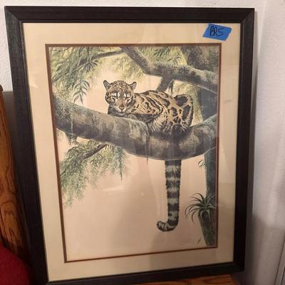 Signed Wildlife Art Print – Clouded Leopard” 25.5”x31”