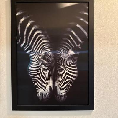 Zebra Framed 3-D Lithograph 22 X 30