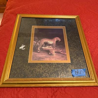 Framed Leopard Print 20 X 26