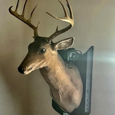 Sale Photo Thumbnail #65