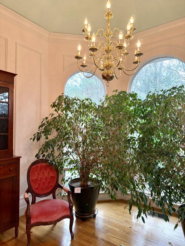 Sale Photo Thumbnail #2