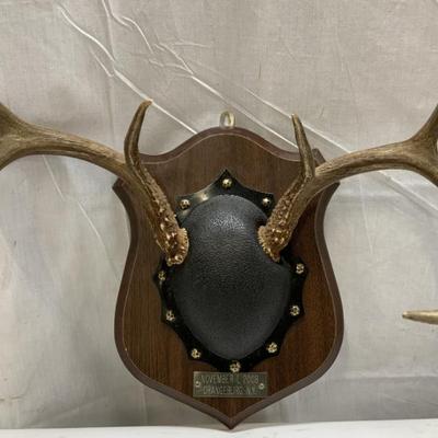 Sale Photo Thumbnail #175