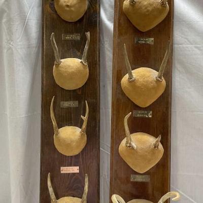 Sale Photo Thumbnail #168