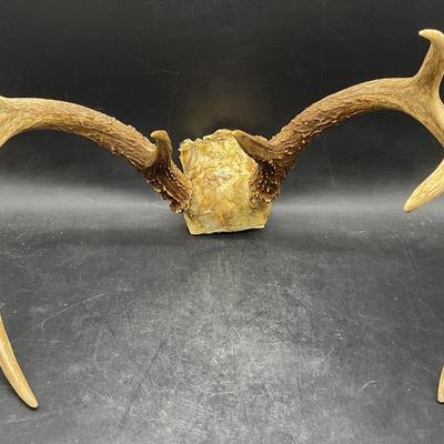 Sale Photo Thumbnail #174