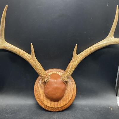 Sale Photo Thumbnail #172