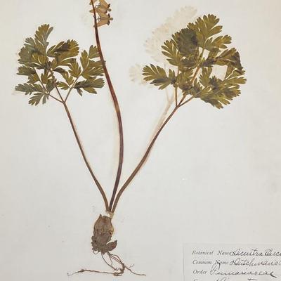 Sale Photo Thumbnail #165