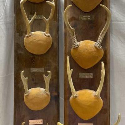 Sale Photo Thumbnail #167