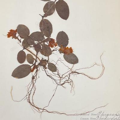 Sale Photo Thumbnail #150