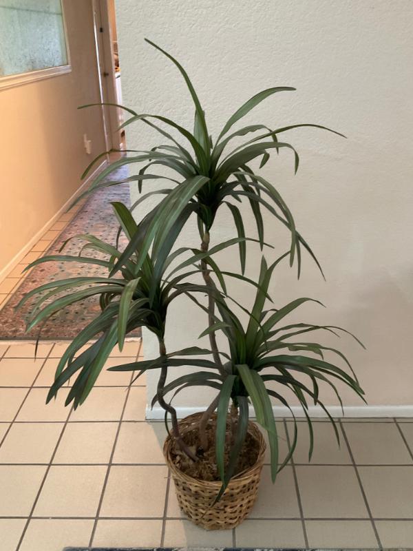 Sale Photo Thumbnail #14