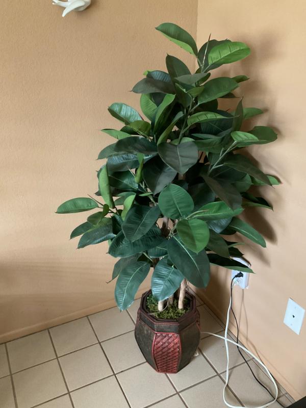 Sale Photo Thumbnail #30