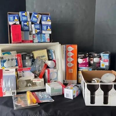 Lightbulb Mystery Lot