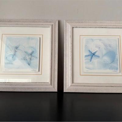 Pair Of Framed Seashell Prints
