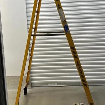 Werner Ladder
