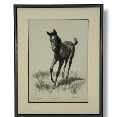 Sale Photo Thumbnail #121