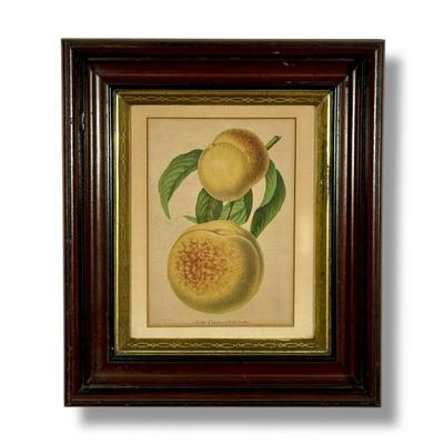 Sale Photo Thumbnail #130