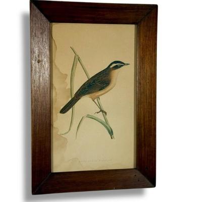 Sale Photo Thumbnail #118