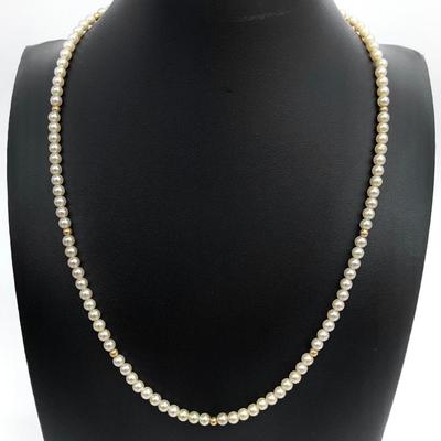 Sale Photo Thumbnail #299