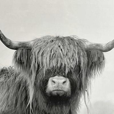 Sale Photo Thumbnail #837