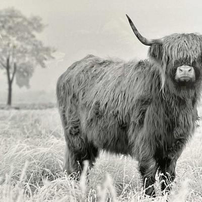 Sale Photo Thumbnail #838