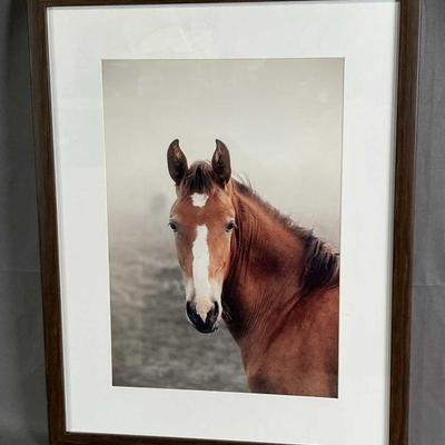 Sale Photo Thumbnail #848