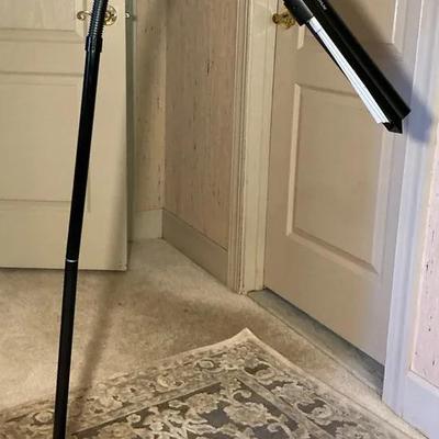 Ottlite Gooseneck Floor Lamp Black 45"h