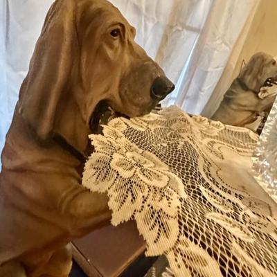 Sale Photo Thumbnail #95