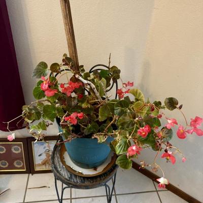 Sale Photo Thumbnail #284