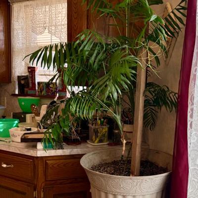 Sale Photo Thumbnail #281