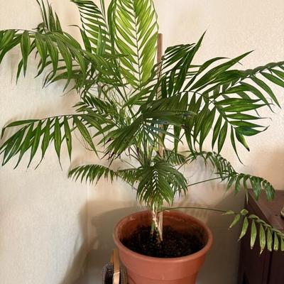 Sale Photo Thumbnail #205