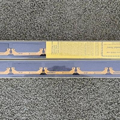 Deluxe Innovations Gunderson Twinstack Trains (BR3)