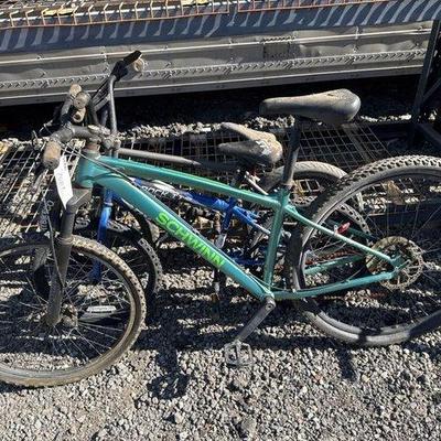 74008 • 3 bicycles