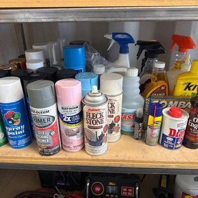 5598 • collection of paint and other miscellaneous items