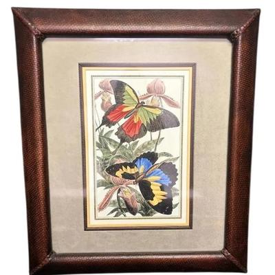 (25"x29") Framed Butterfly Print