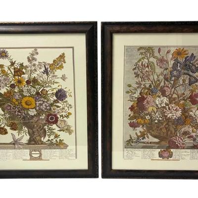 Robert Furber Botanical Framed Prints: November & June (18"x22.5")