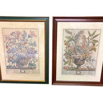 Robert Furber Botanical Framed Prints: January & October (18"x22.5")