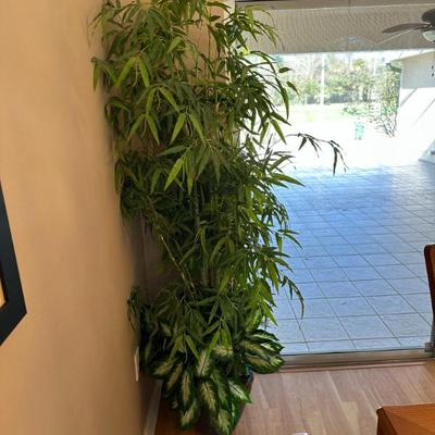 Sale Photo Thumbnail #107