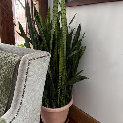 Sale Photo Thumbnail #185