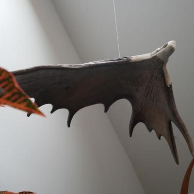 Sale Photo Thumbnail #528