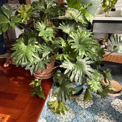 Sale Photo Thumbnail #169