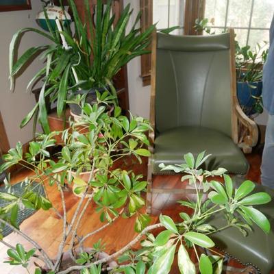 Sale Photo Thumbnail #569