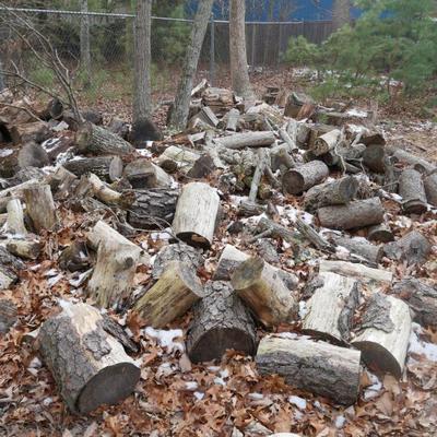 Sale Photo Thumbnail #497