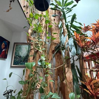 Sale Photo Thumbnail #139