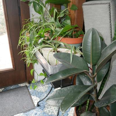 Sale Photo Thumbnail #600