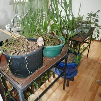 Sale Photo Thumbnail #679