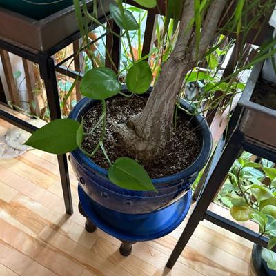 Sale Photo Thumbnail #315