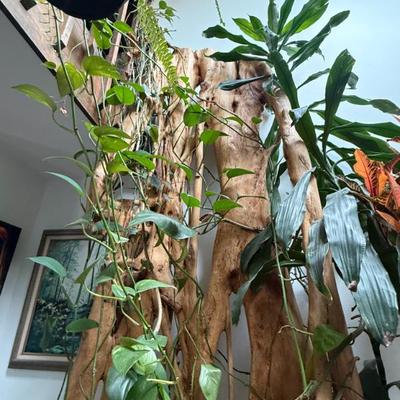 Sale Photo Thumbnail #141