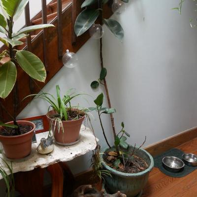 Sale Photo Thumbnail #525