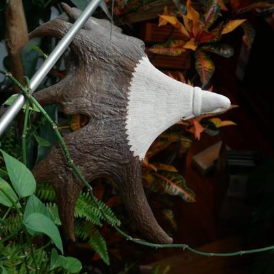 Sale Photo Thumbnail #671