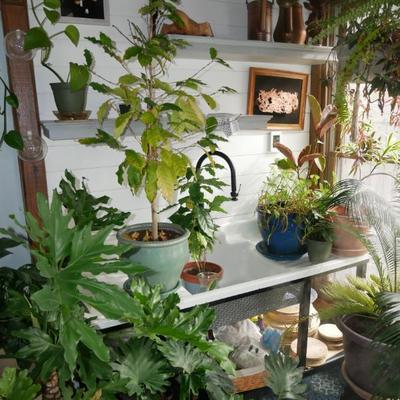 Sale Photo Thumbnail #598